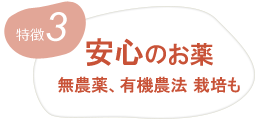 漢方薬局 相談 | 茨城県北茨城市 | たばた関本薬局 | 店舗紹介